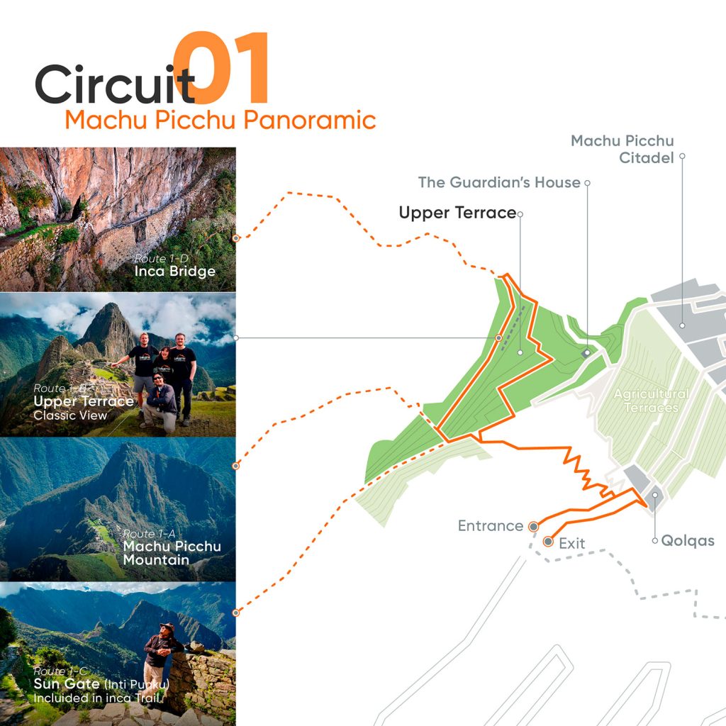 Circuit 1 (Panoramic or Upper Part)