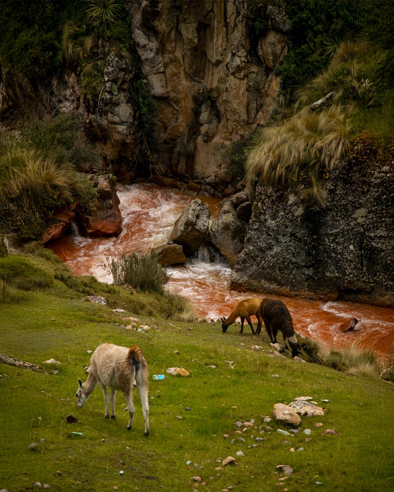 The impressive Red River on the Palccoyo colored mountain trail.