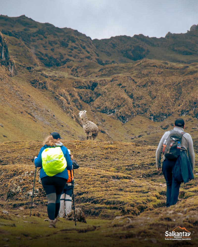 The wonderful scenery of the Lares trek