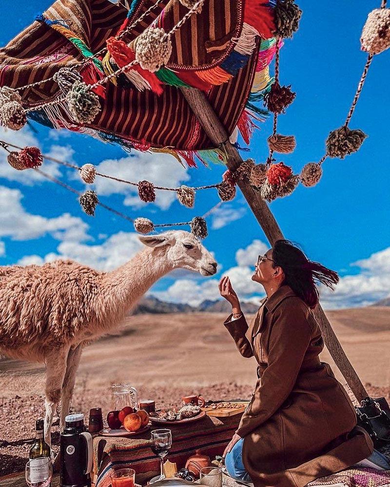 A woman standing next to a llama at a picnic in the Sacred Valley
