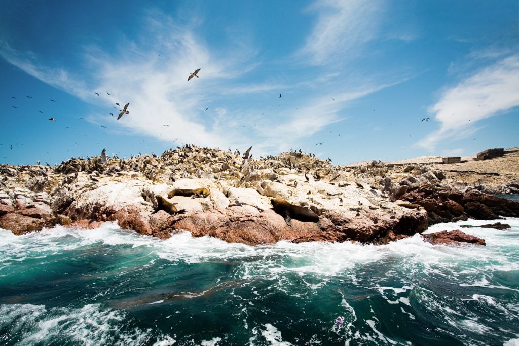 Paracas and the Ballestas Islands