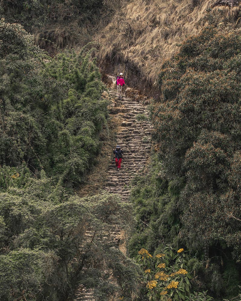 Tourist on the Inca Trail