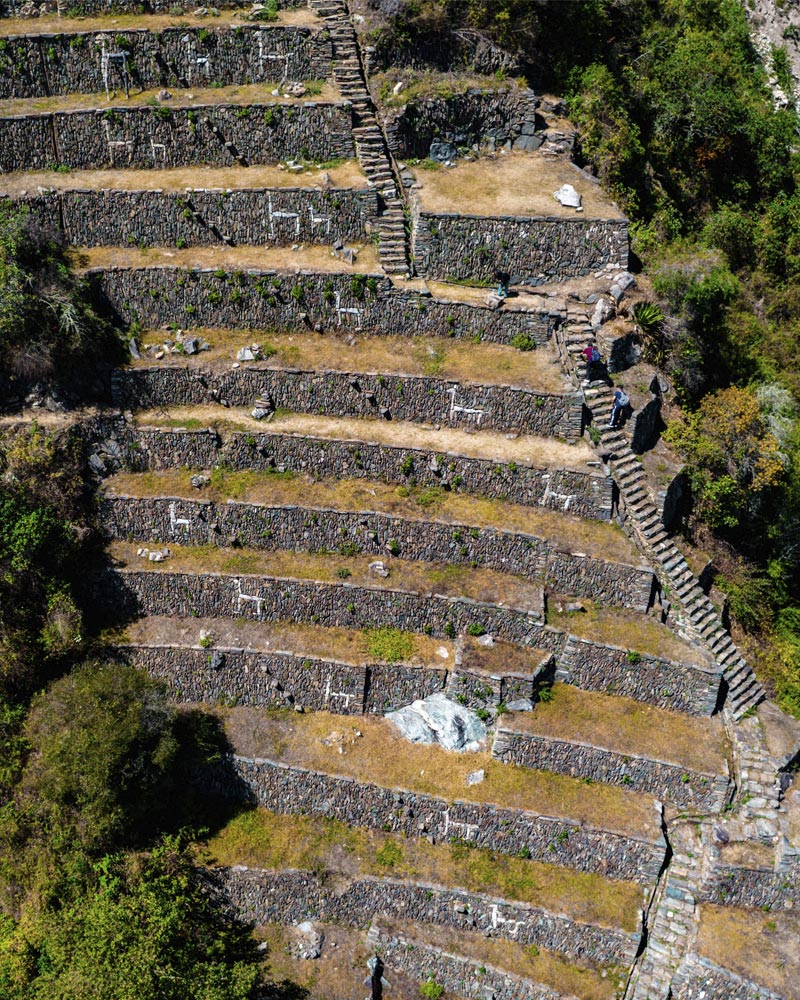 The llama terraces of Choquequirao