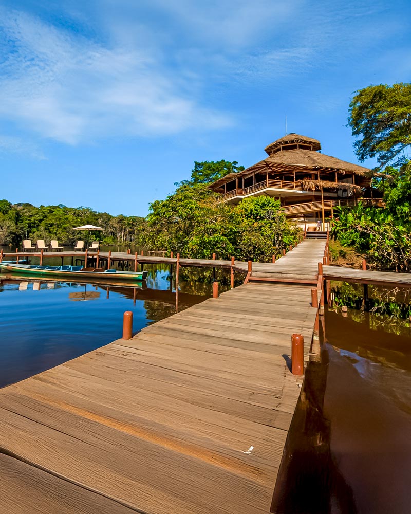 Rest and reconnection in the Peruvian jungle