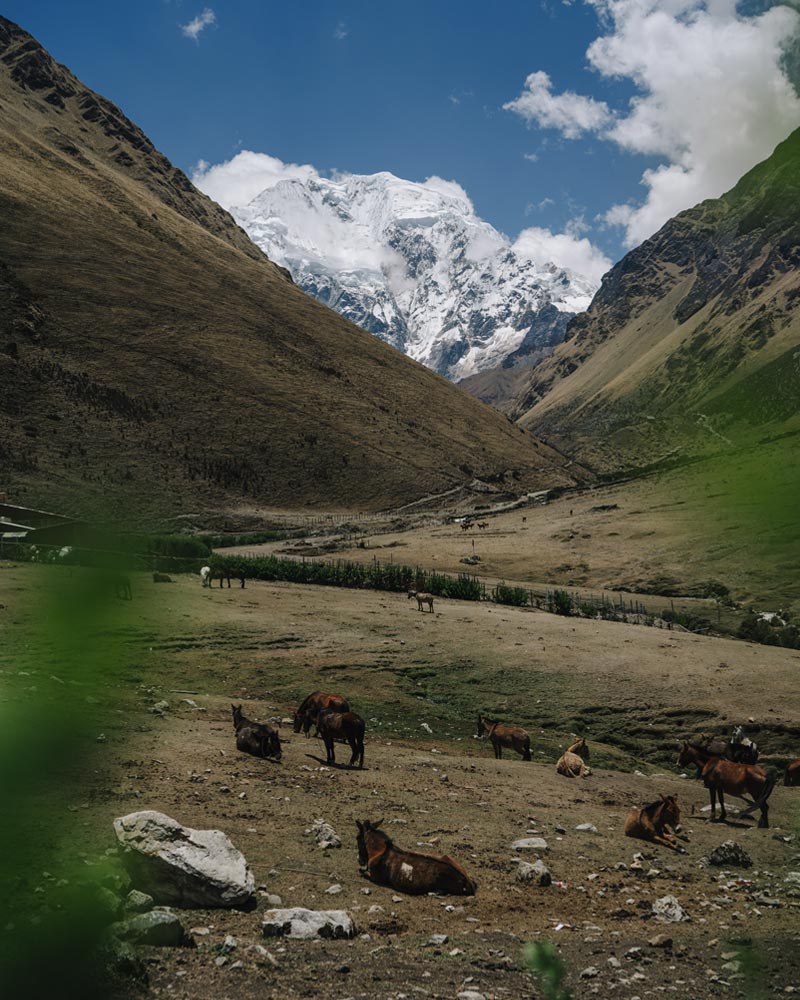 Panoramic view of the Soraypampa camp with the Salkantay mountain in the background.