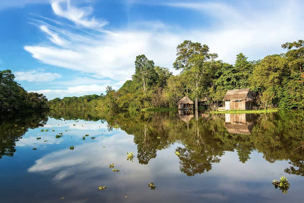 The Peruvian Jungle
