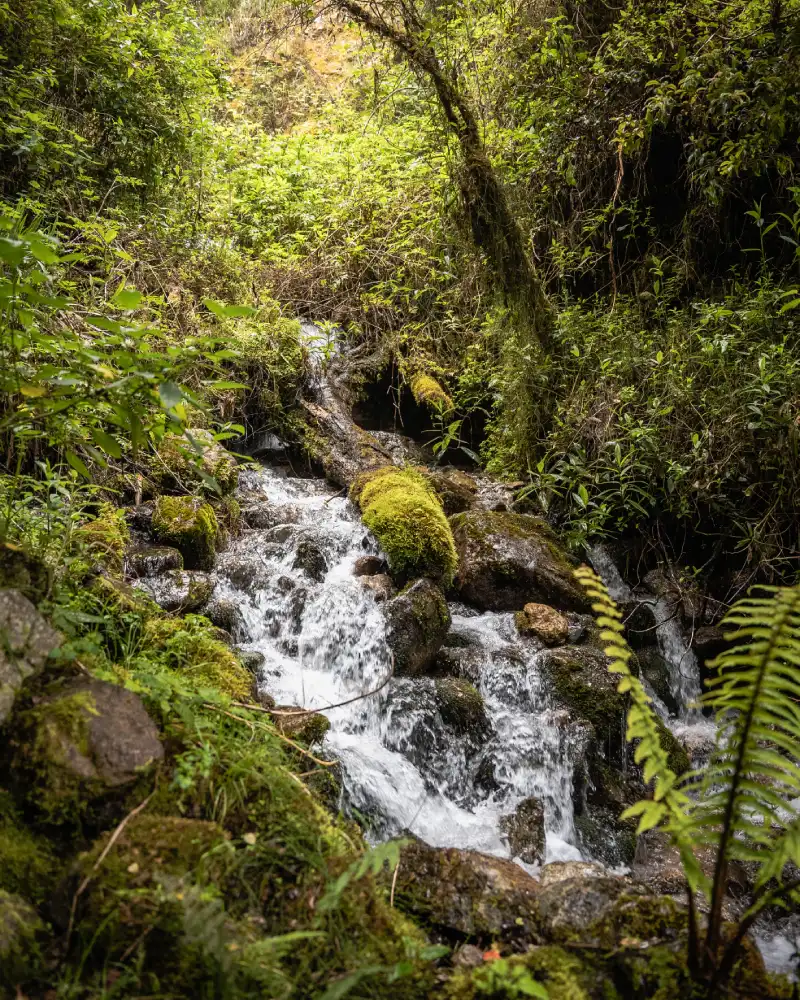 Landscapes along the Inca Trail, a waterfall surrounded by lush vegetation