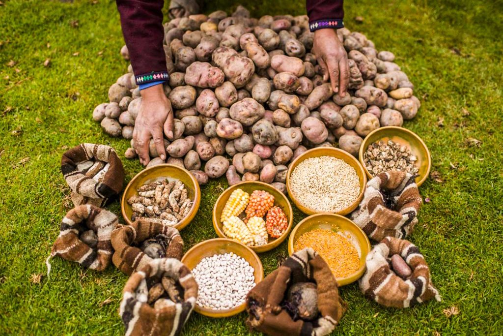 Woman displaying Peruvian ingredients at the potato park.