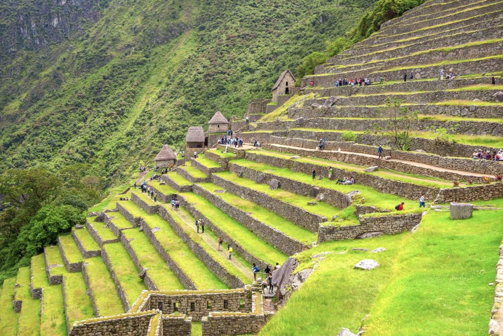 Agricultural area in Machu Picchu