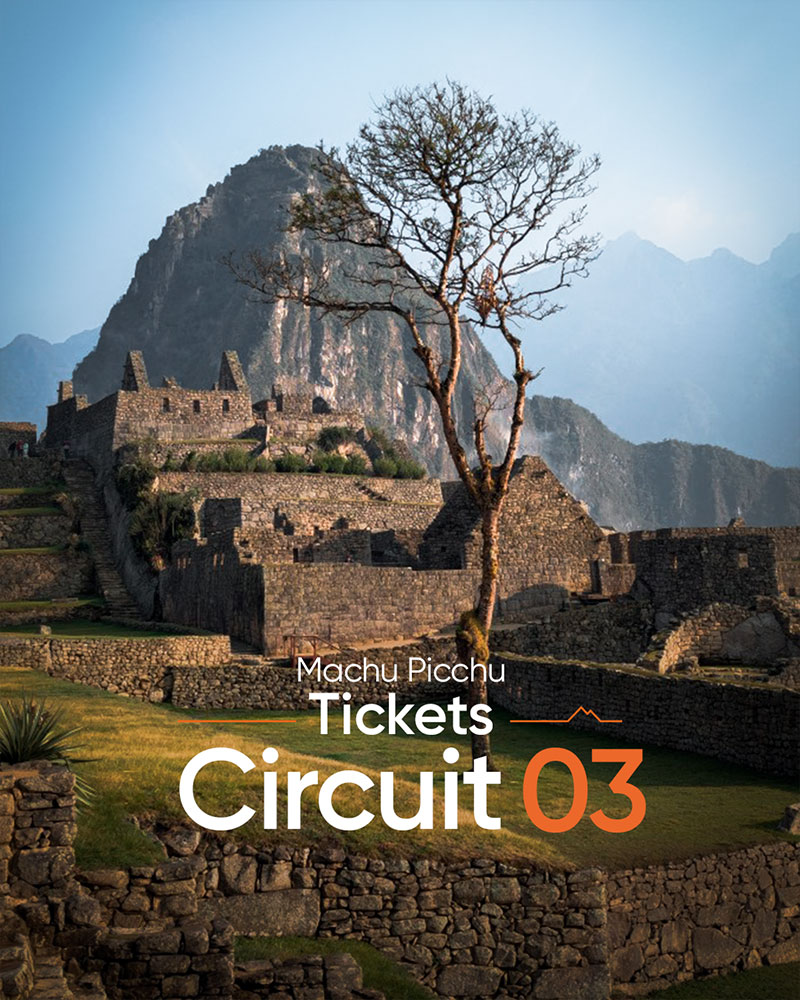 Photo of Machu Picchu with the Pisonay tree and Huayna Picchu mountain in the background, with a superimposed circuit 3 design