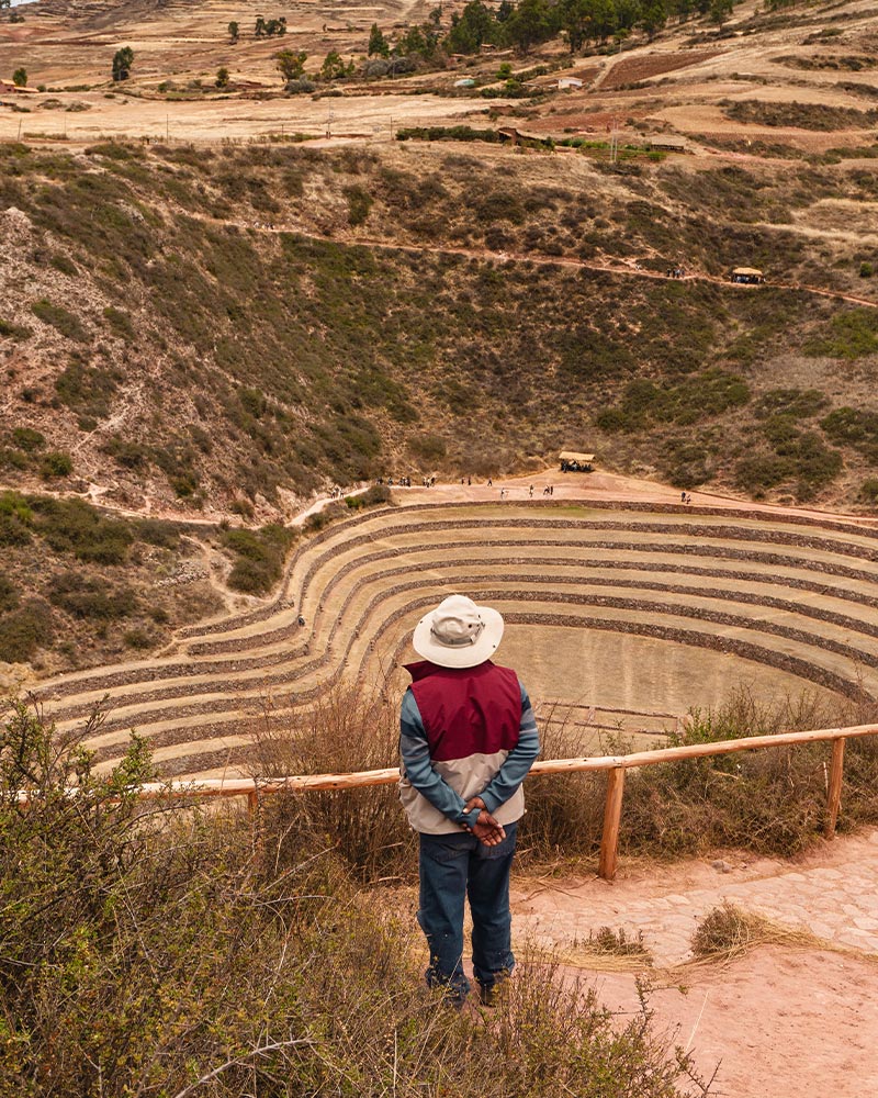 Guardian at the Moray archaeological site