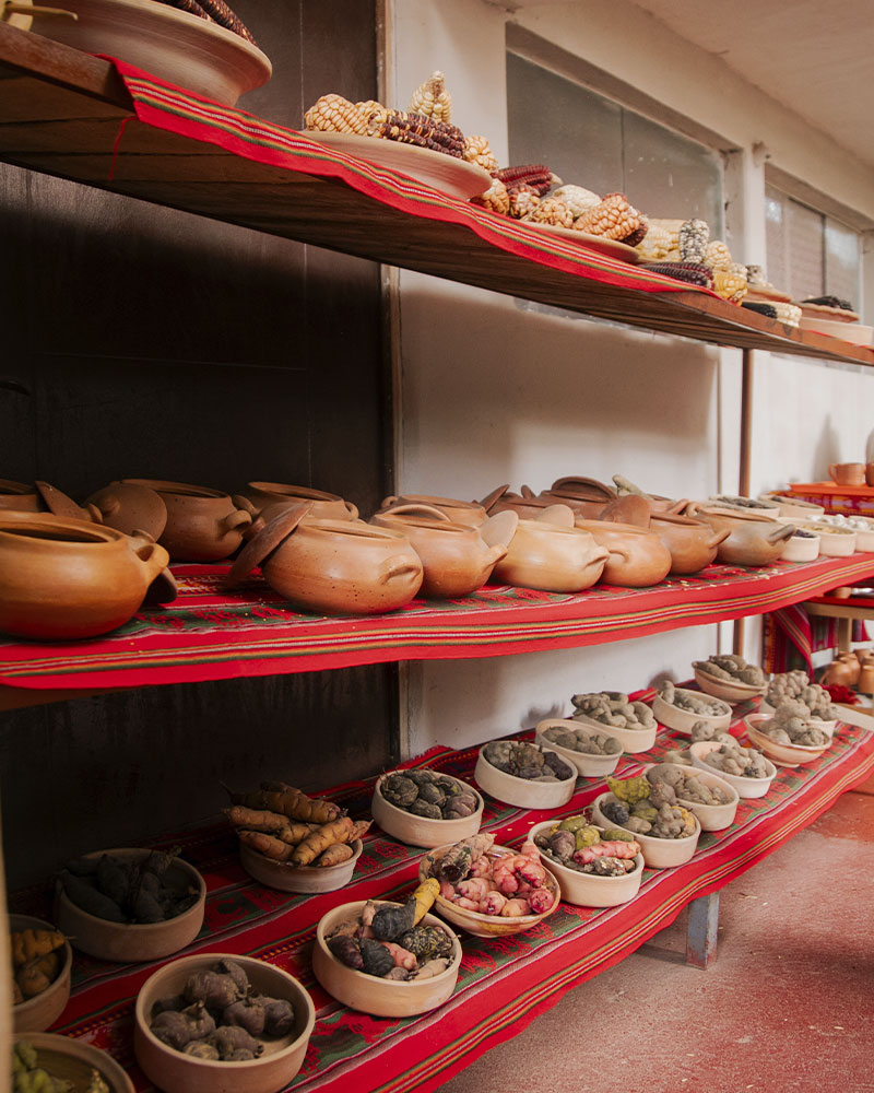 Variety of corn and potatoes in the Sacred Valley