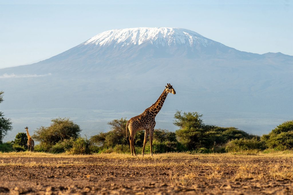 Mount Kilimanjaro, Tanzania