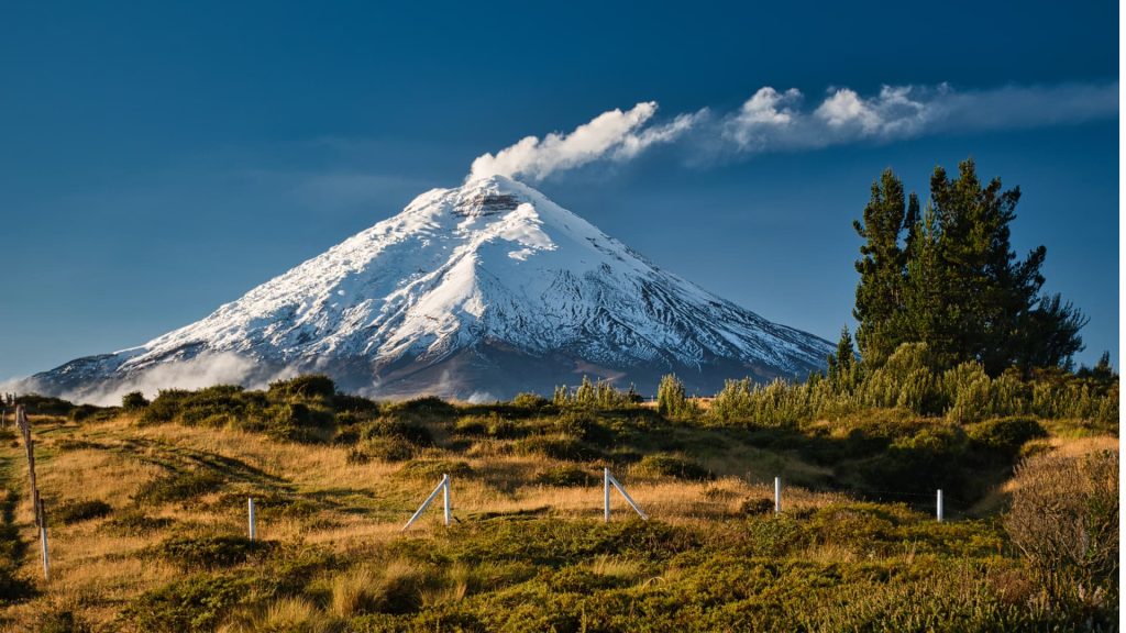 The snow-capped cone of the active Cotopaxi volcano rising above the clouds in the Ecuadorian Andes.