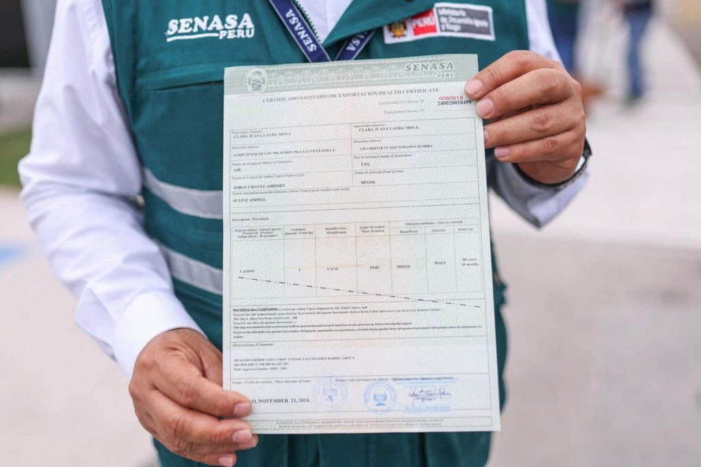 A pet passport and official veterinary health certificate with official stamps.