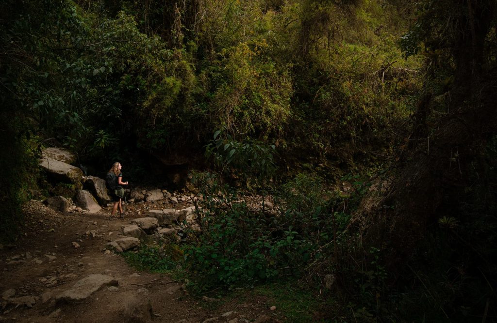 A single person walking on a scenic trail surrounded by trees in a lush forest, a perfect environment for hiking for beginner.