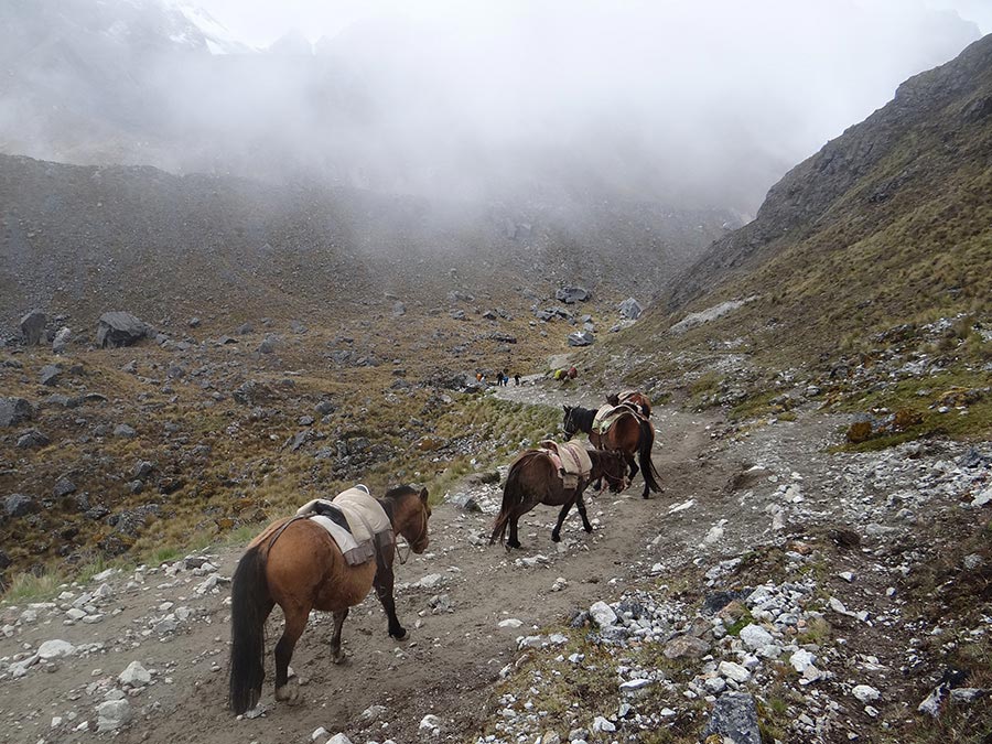 Our Horsemen on the Salkantay Route