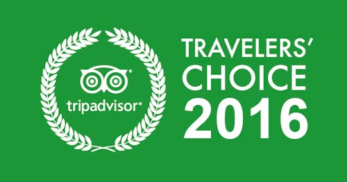 tripadvisor