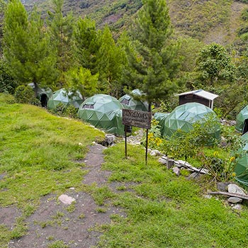 Jungle campsite