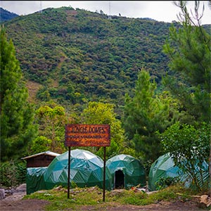 Jungle Domes Private Campsite