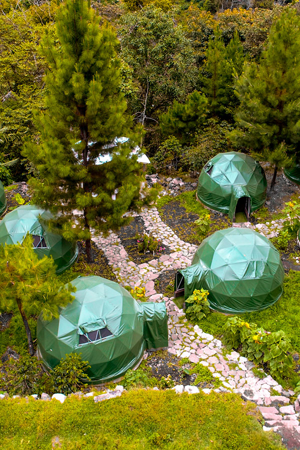 Jungle Domes in the middle of nature in the jungle