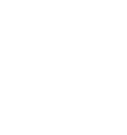 Travelers Choice