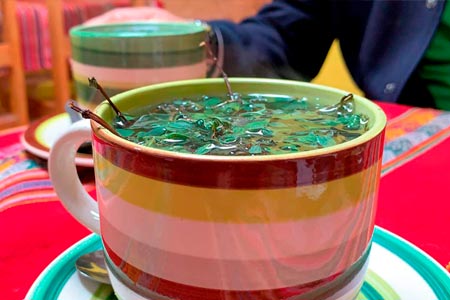 Natural Teas and Infusions You Can and Should Try in Cusco