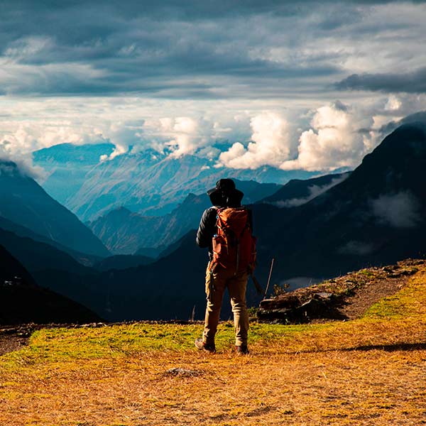 The imposing Choquequirao Mountain, through the fascinating cloud forest