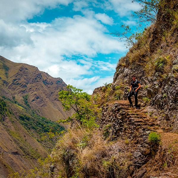 The imposing Inca Jungle, through the fascinating cloud forest