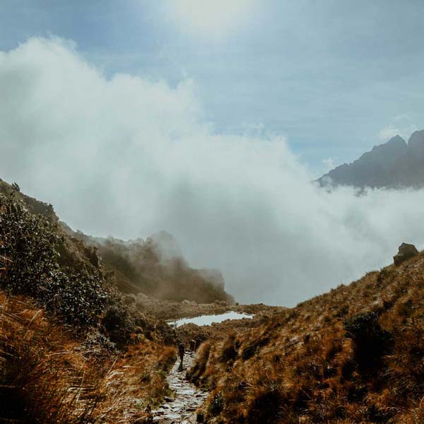 Inca Trail Stunning Scenaries full of history and misticism