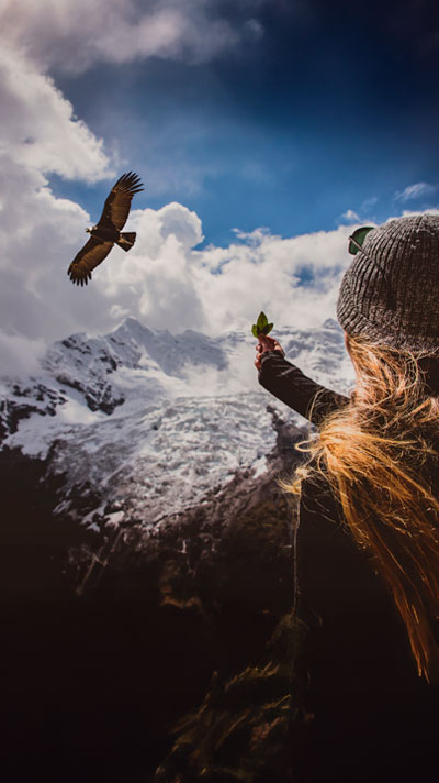 Andean Traditions represented by the coca leaves and a great condor in the sky