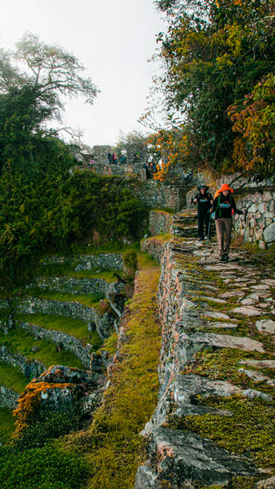 Group of tourists hiking the Inca Trail to Machu Picchu