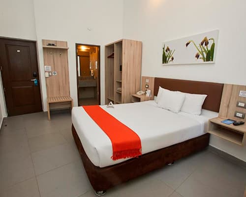 Single Room