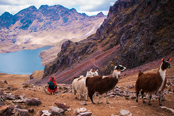 Lares Trek to Machu Picchu