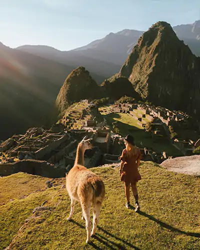 A llama and a tourist seeing the wonder of Machu Picchu