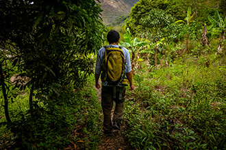 Weather Information during the Inca Jungle