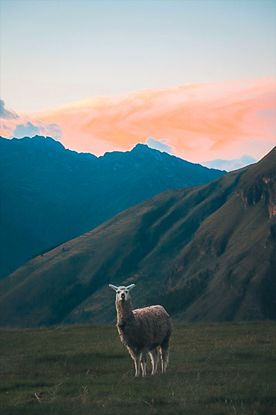 10 Best Things To Do And See In The Sacred Valley