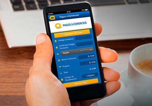 Online Payment by Visa Online Payment by Visa
