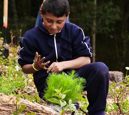 Salkantay Foundation - Environment Awareness - Reforestation Project